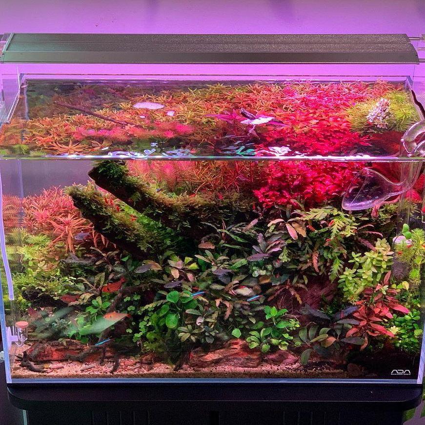 WEEK AQUA Aquarium Led Vivid L - Reef Lighting recension och pris